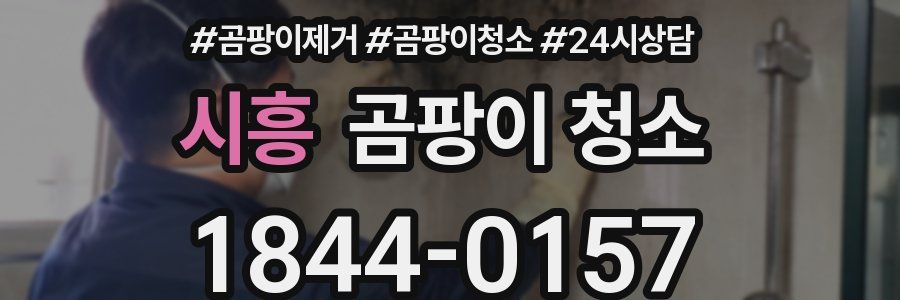 시흥 곰팡이 청소