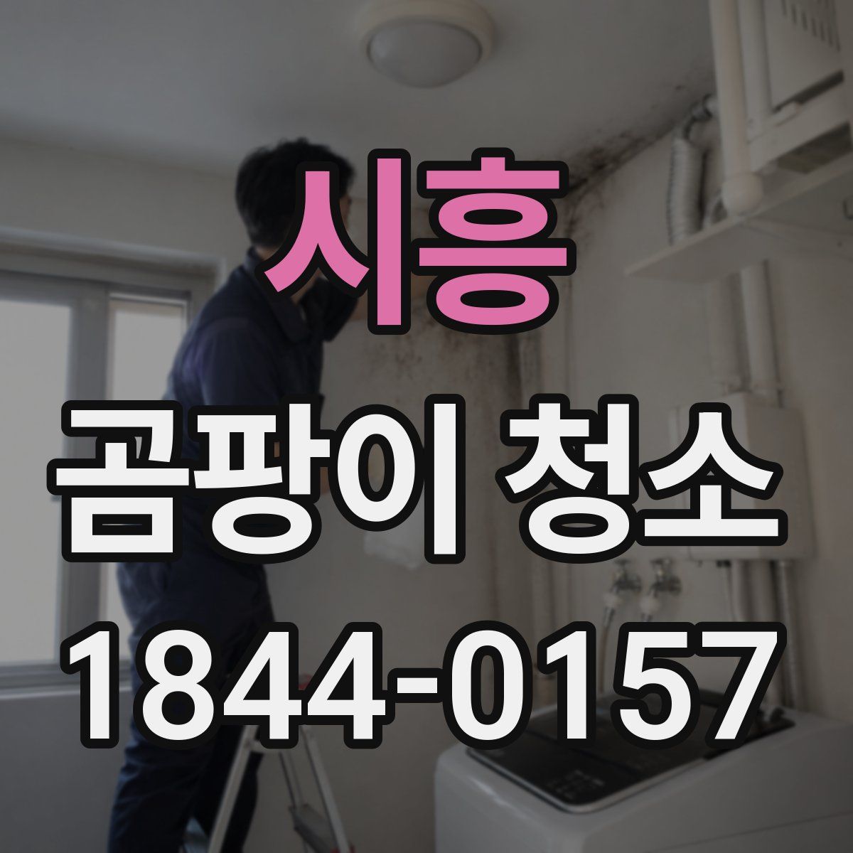 시흥 곰팡이 청소