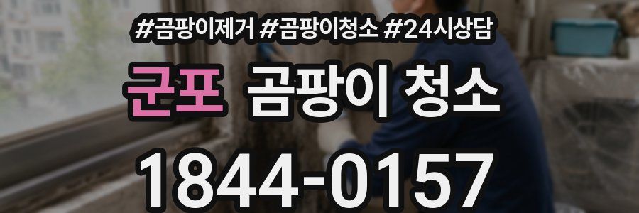 군포 곰팡이 청소