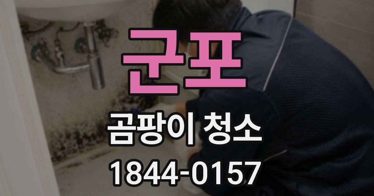 군포 곰팡이 청소