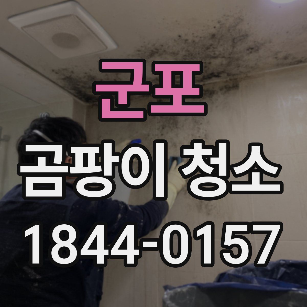 군포 곰팡이 청소