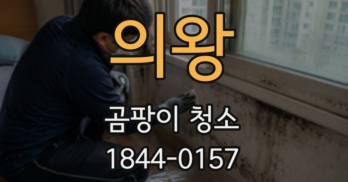 의왕 곰팡이 청소