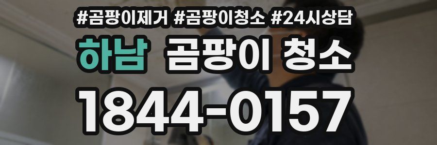 하남 곰팡이 청소