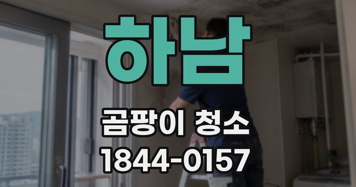 하남 곰팡이 청소