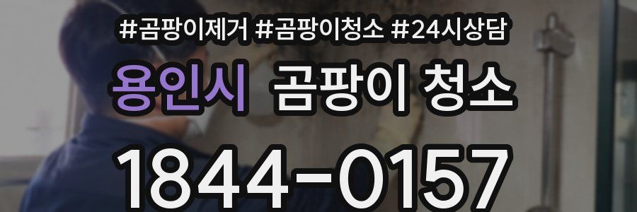 용인시 곰팡이 청소