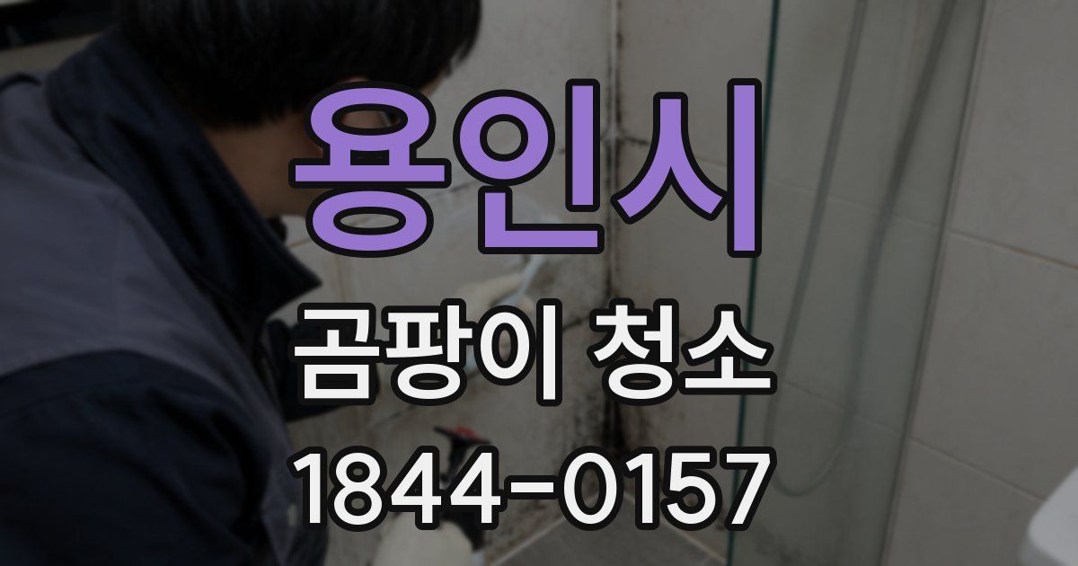 용인시 곰팡이 청소