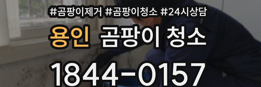 용인 곰팡이 청소