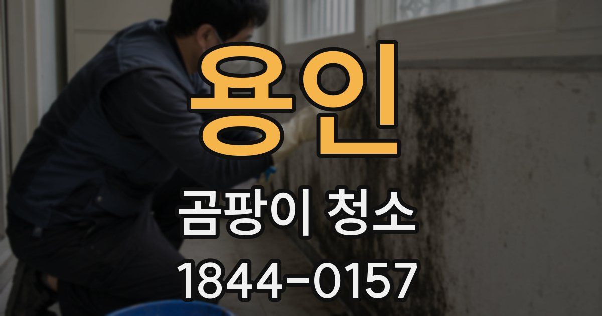 용인 곰팡이 청소