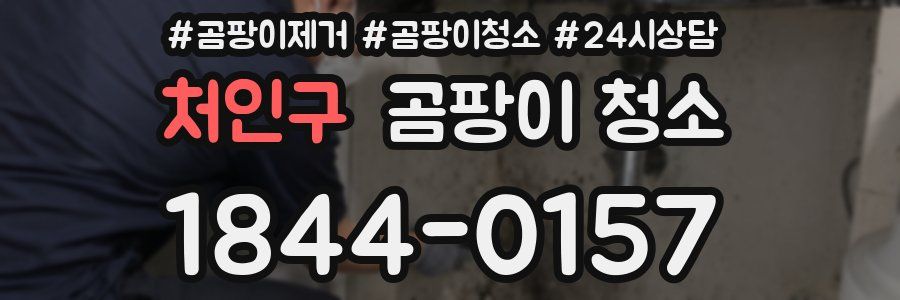 처인구 곰팡이 청소