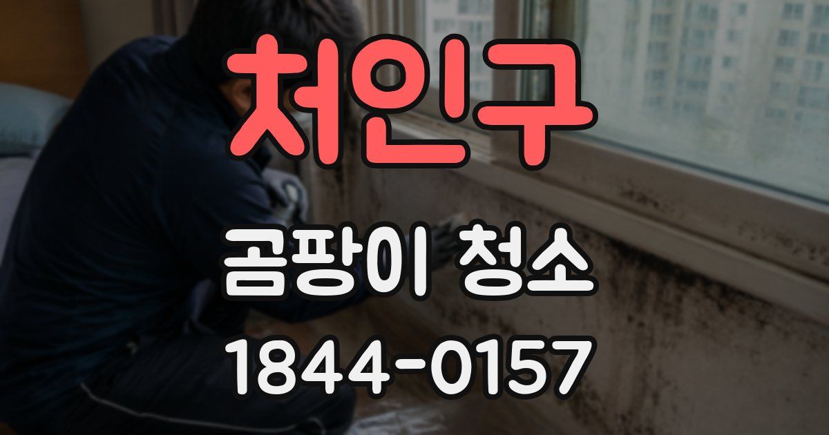 처인구 곰팡이 청소