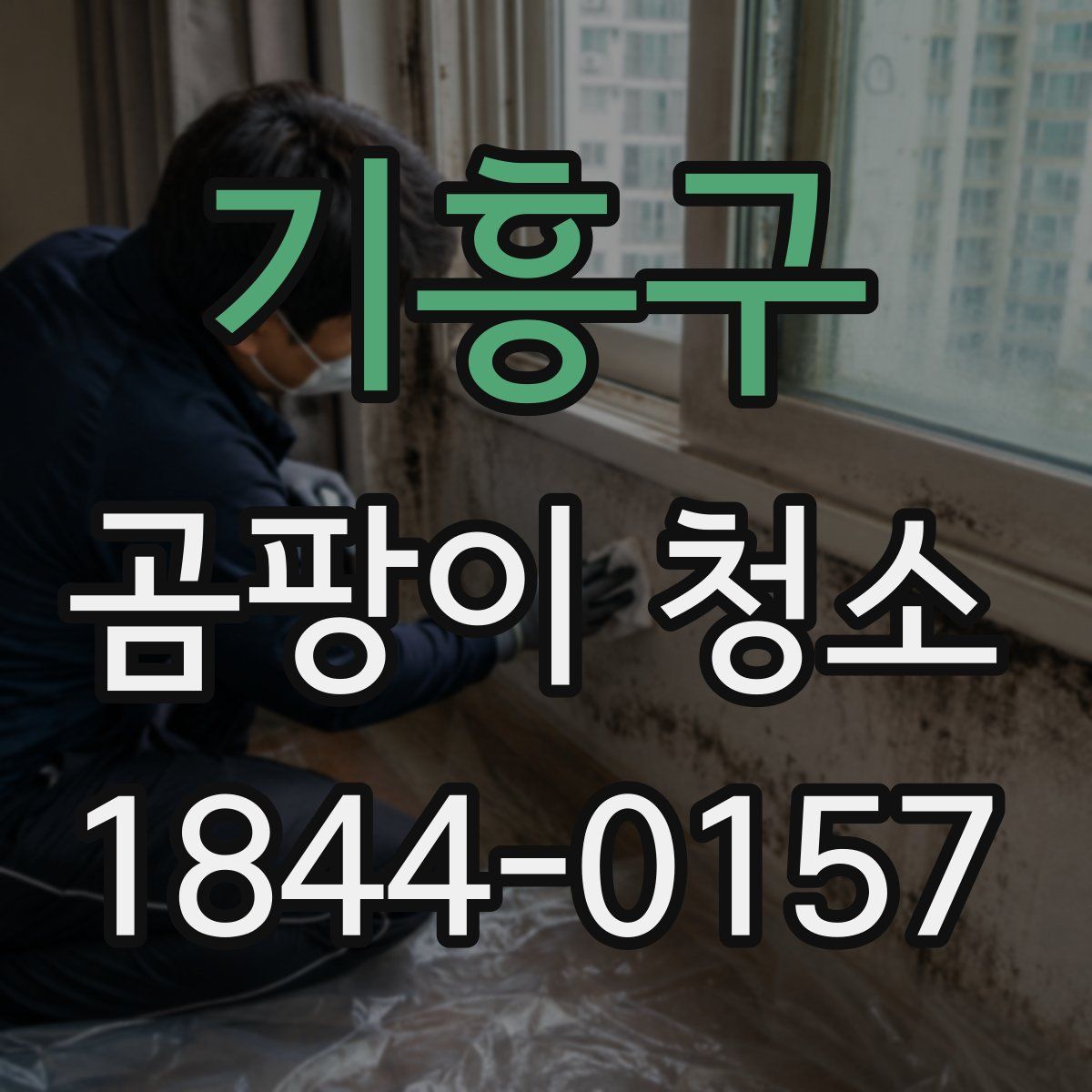 기흥구 곰팡이 청소