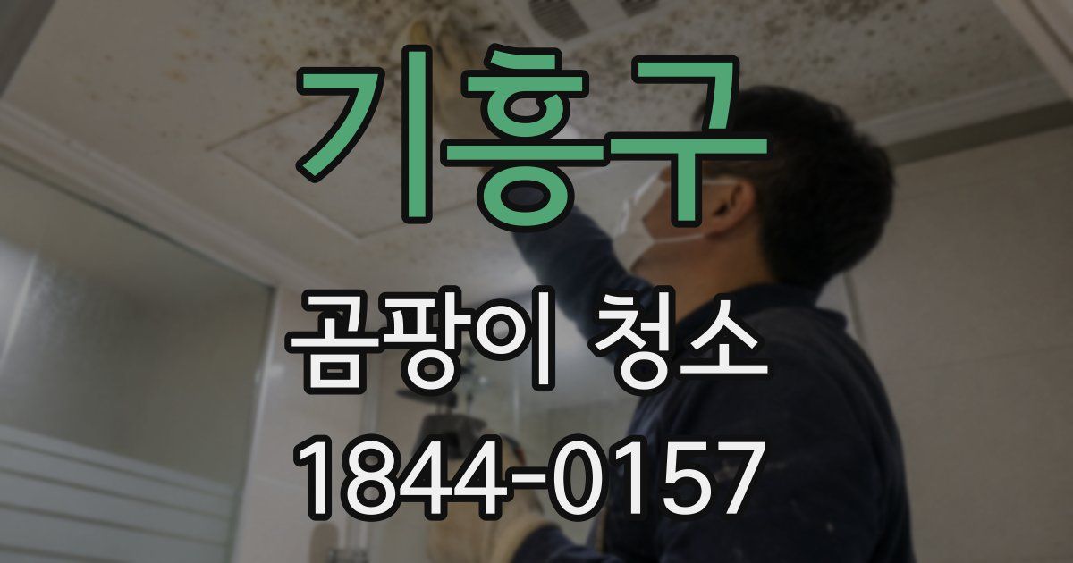 기흥구 곰팡이 청소