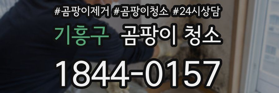 기흥구 곰팡이 청소