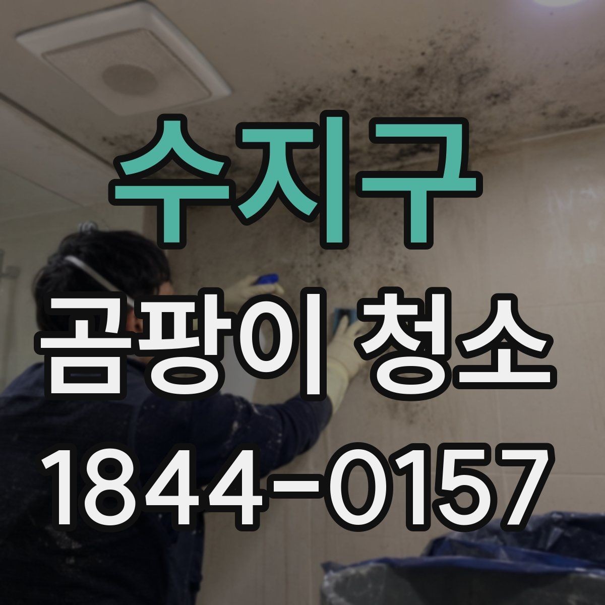 수지구 곰팡이 청소 세제 고를 때 소재 손상 살피는 법