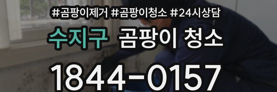 수지구 곰팡이 청소