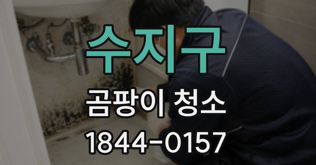 수지구 곰팡이 청소
