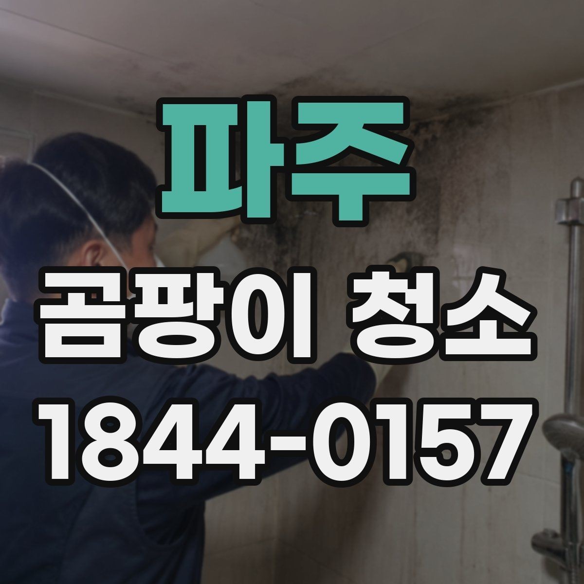 파주 곰팡이 청소 천장 몰딩 주변 자국을 정리할 때 보는 것