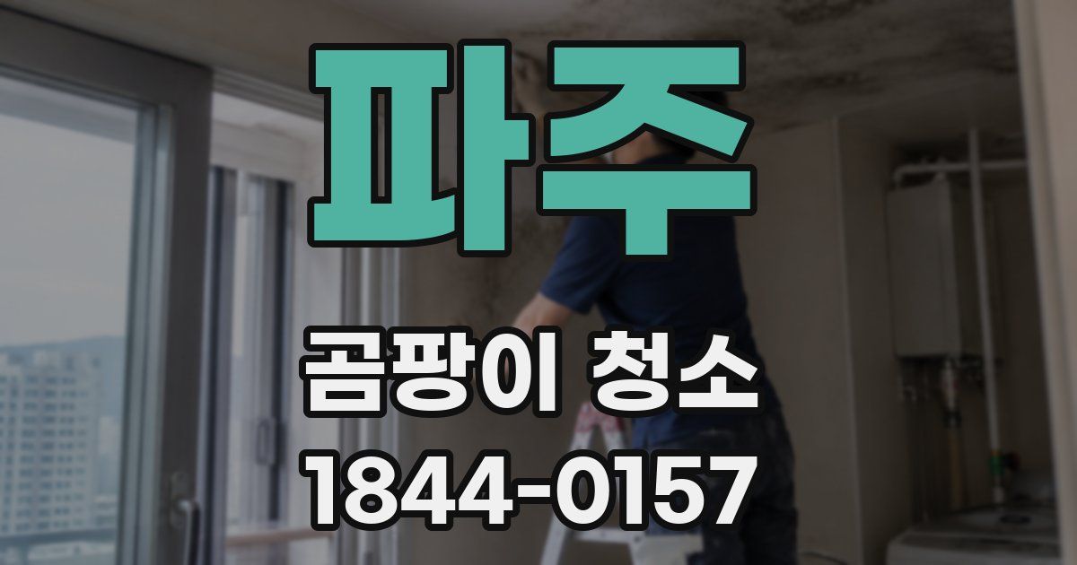 파주 곰팡이 청소