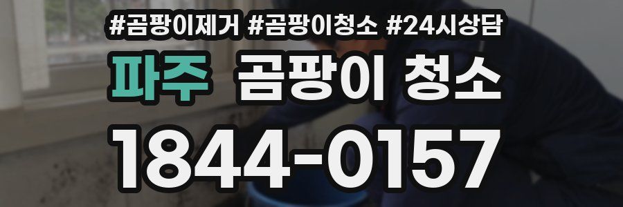 파주 곰팡이 청소