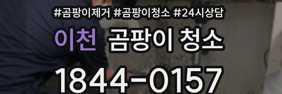이천 곰팡이 청소