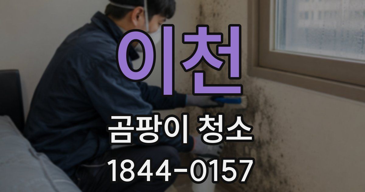이천 곰팡이 청소