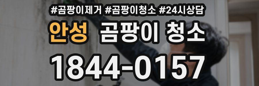 안성 곰팡이 청소