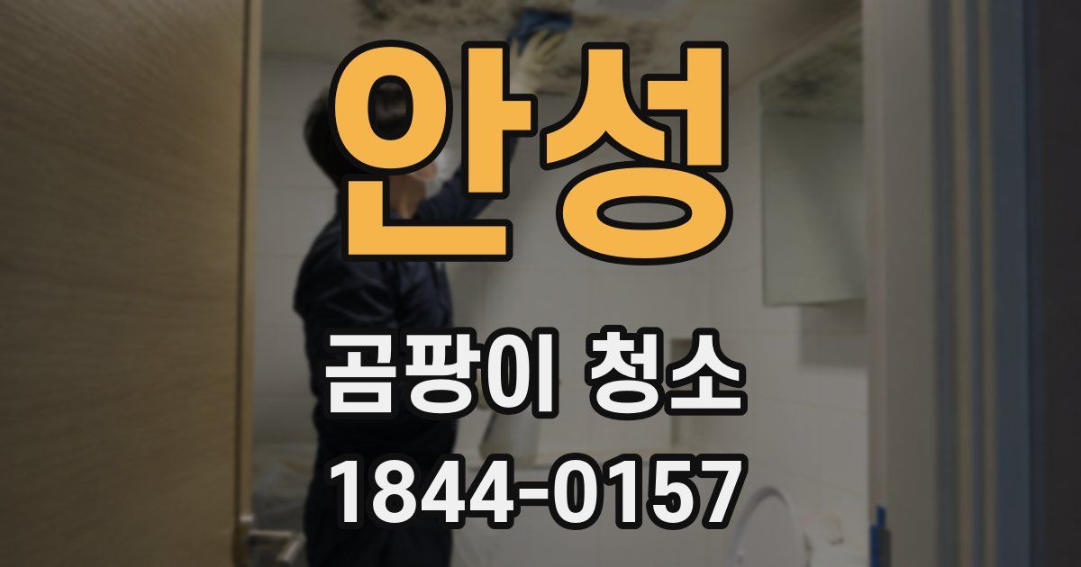 안성 곰팡이 청소