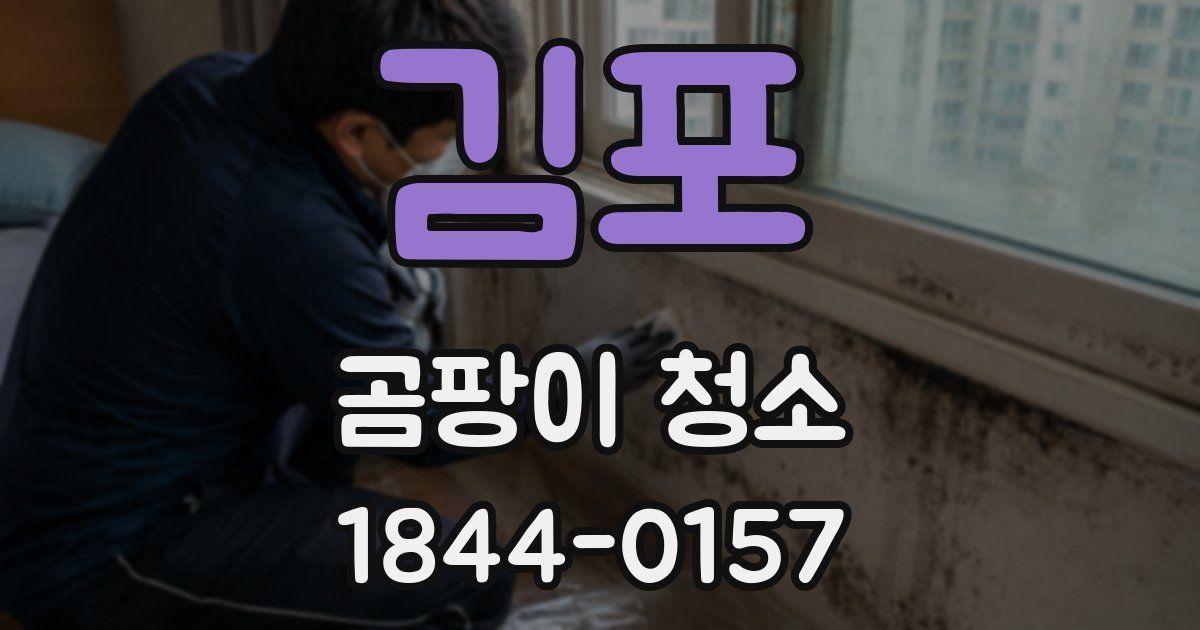 김포 곰팡이 청소