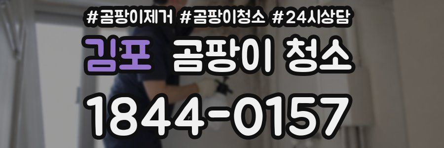 김포 곰팡이 청소
