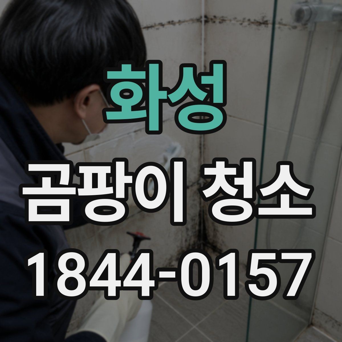 화성 곰팡이 청소 오염 정도에 따라 달라지는 작업 방식