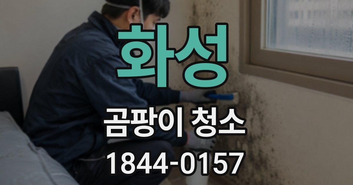 화성 곰팡이 청소