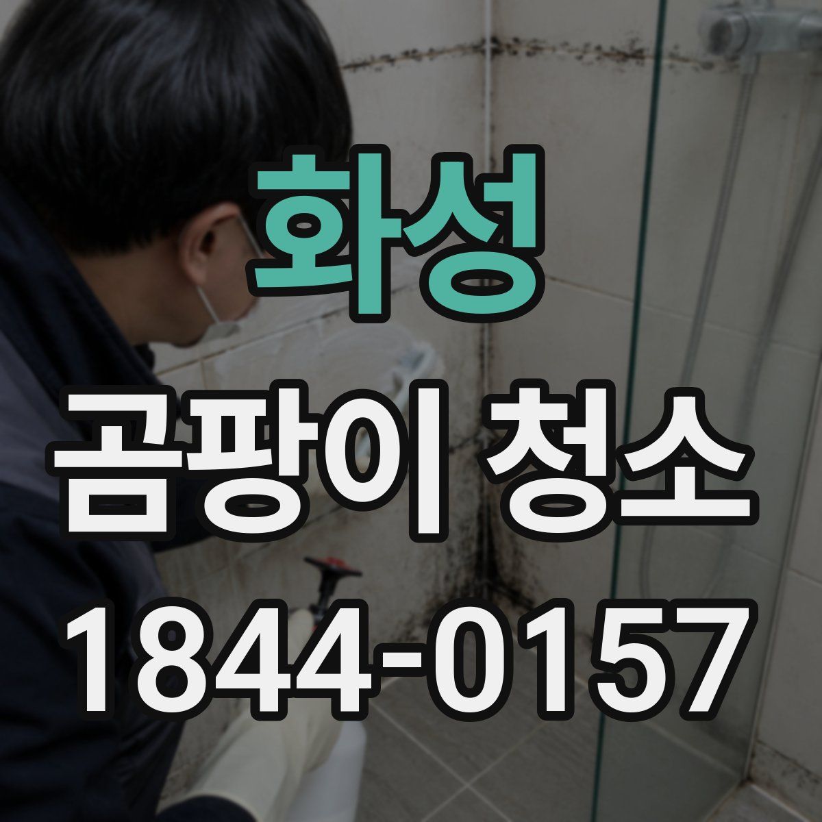 화성 곰팡이 청소