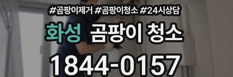 화성 곰팡이 청소