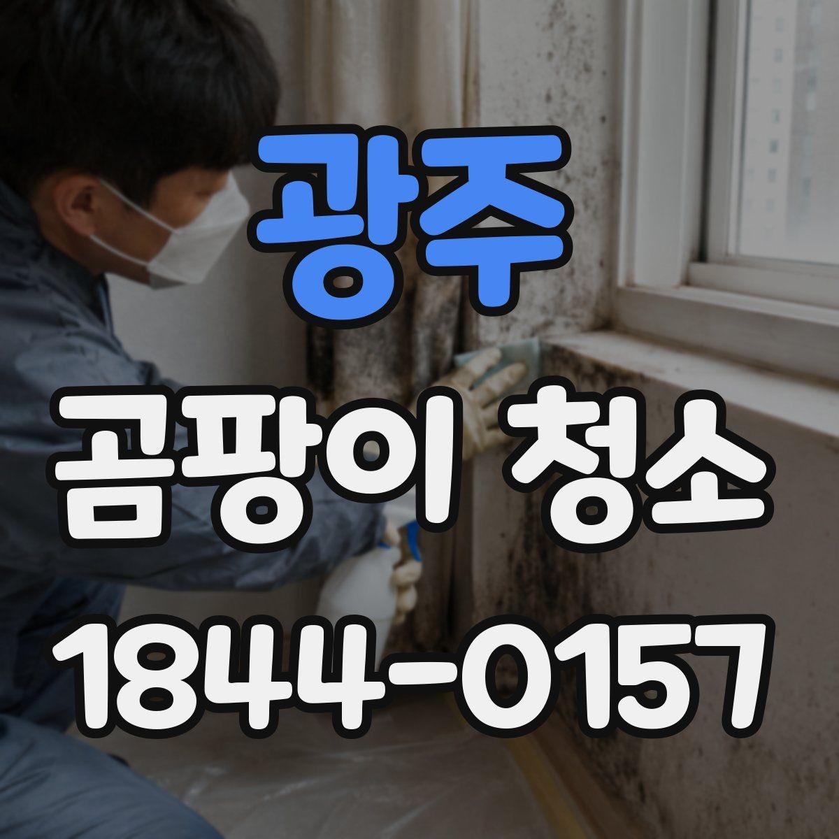 광주 곰팡이 청소 재도장 전에 벽면과 도장면을 살피는 법