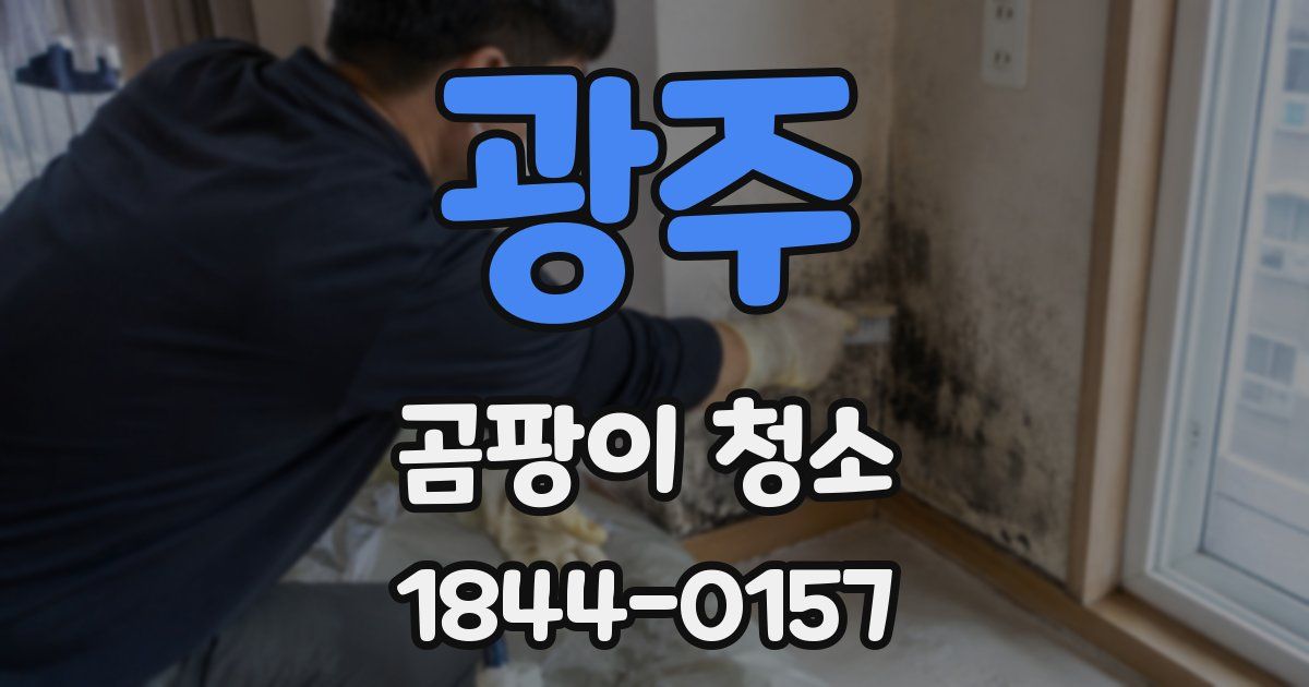 광주 곰팡이 청소