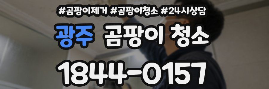 광주 곰팡이 청소