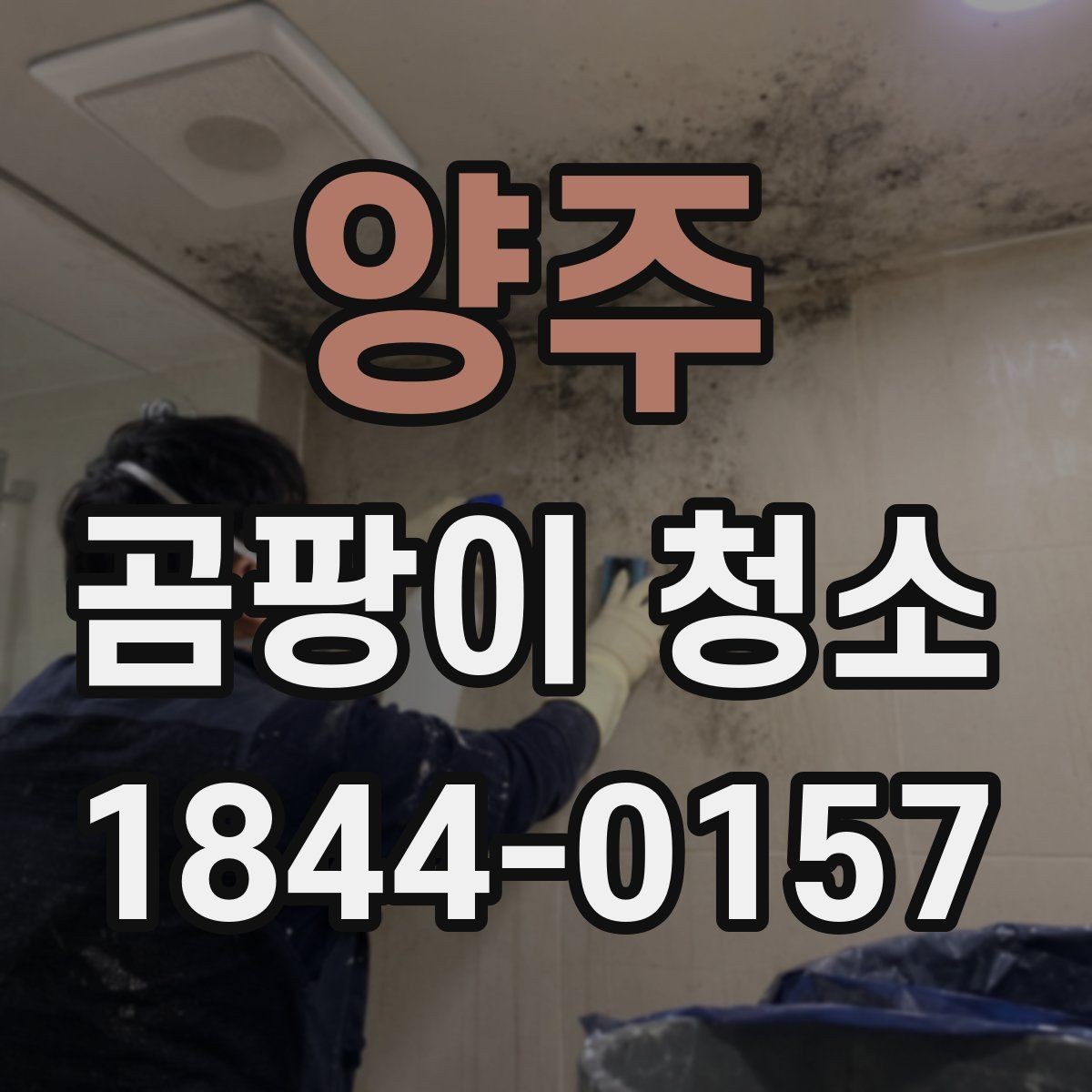 양주 곰팡이 청소 자국이 깊어 보일 때 표면별로 구분하는 법