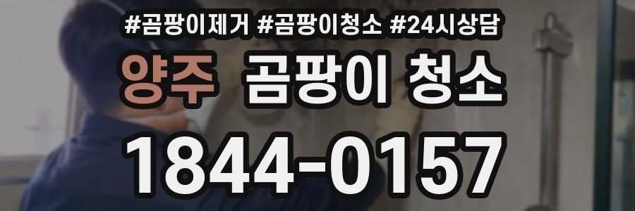 양주 곰팡이 청소