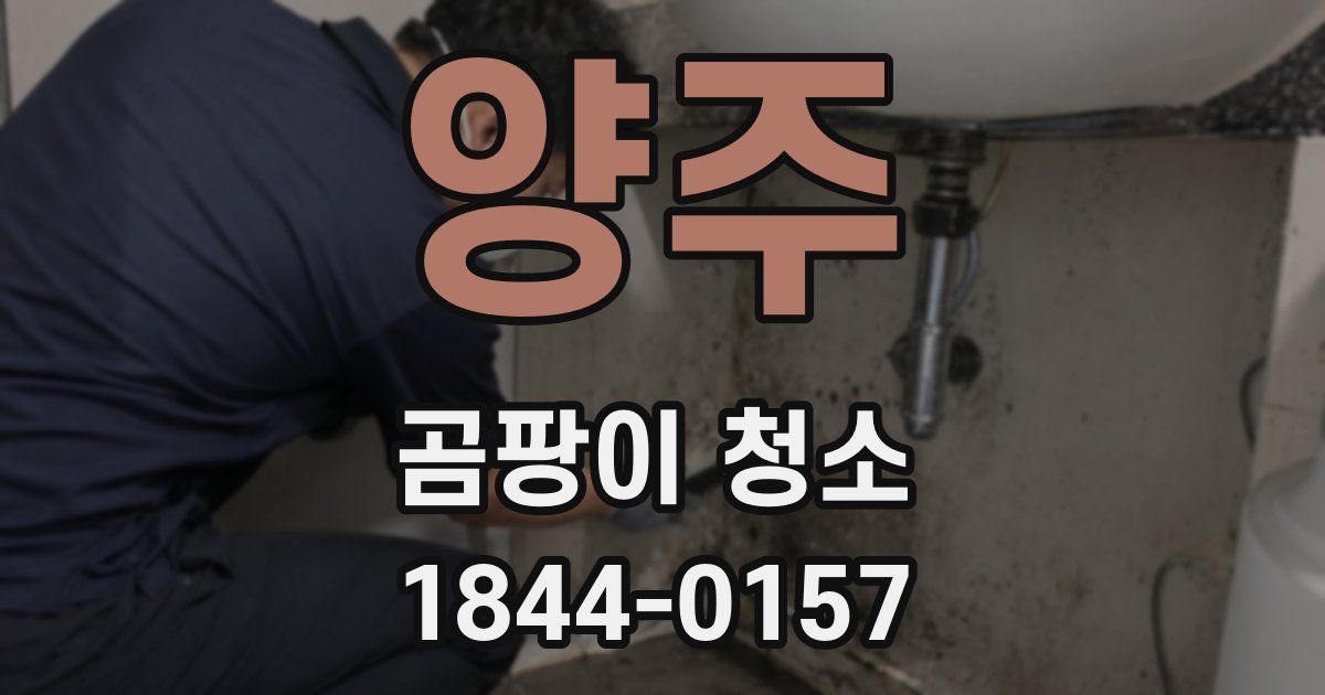 양주 곰팡이 청소