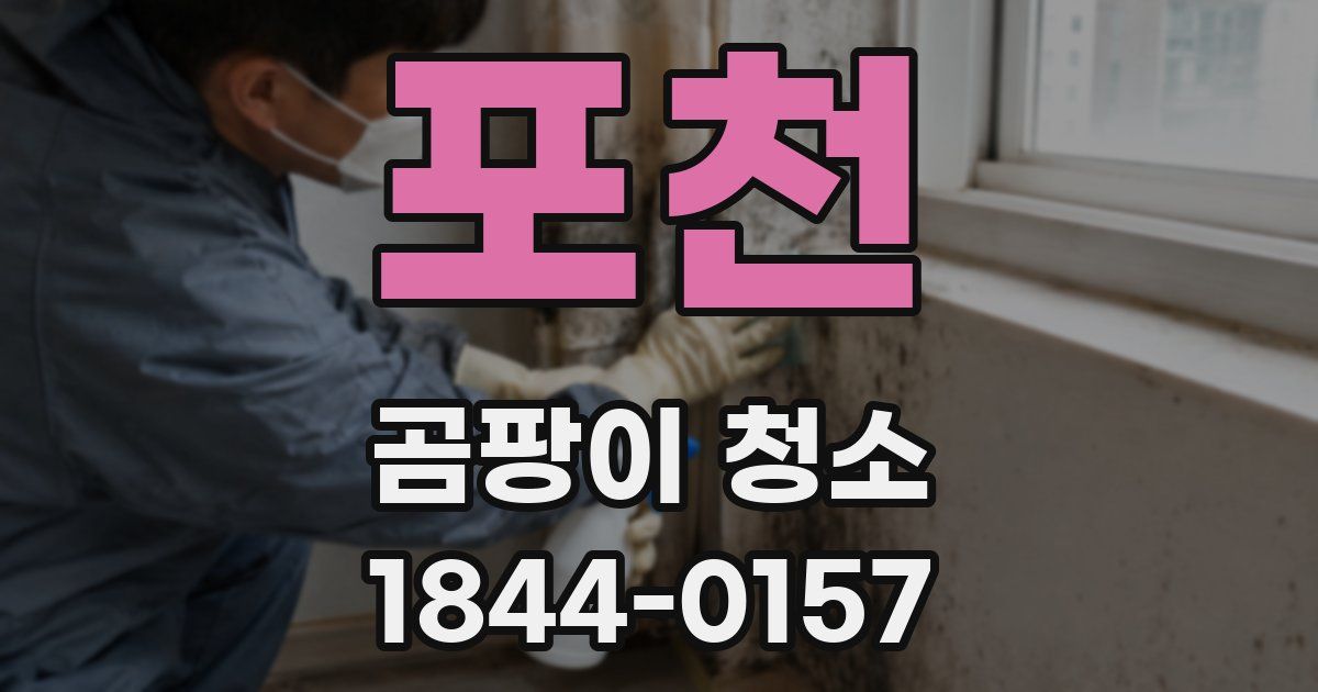 포천 곰팡이 청소