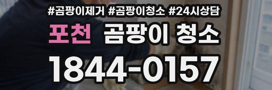 포천 곰팡이 청소