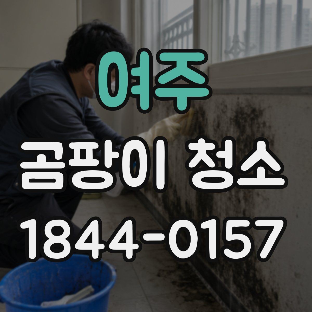 여주 곰팡이 청소 재도장 전에 남은 곰팡이 흔적 확인하는 법