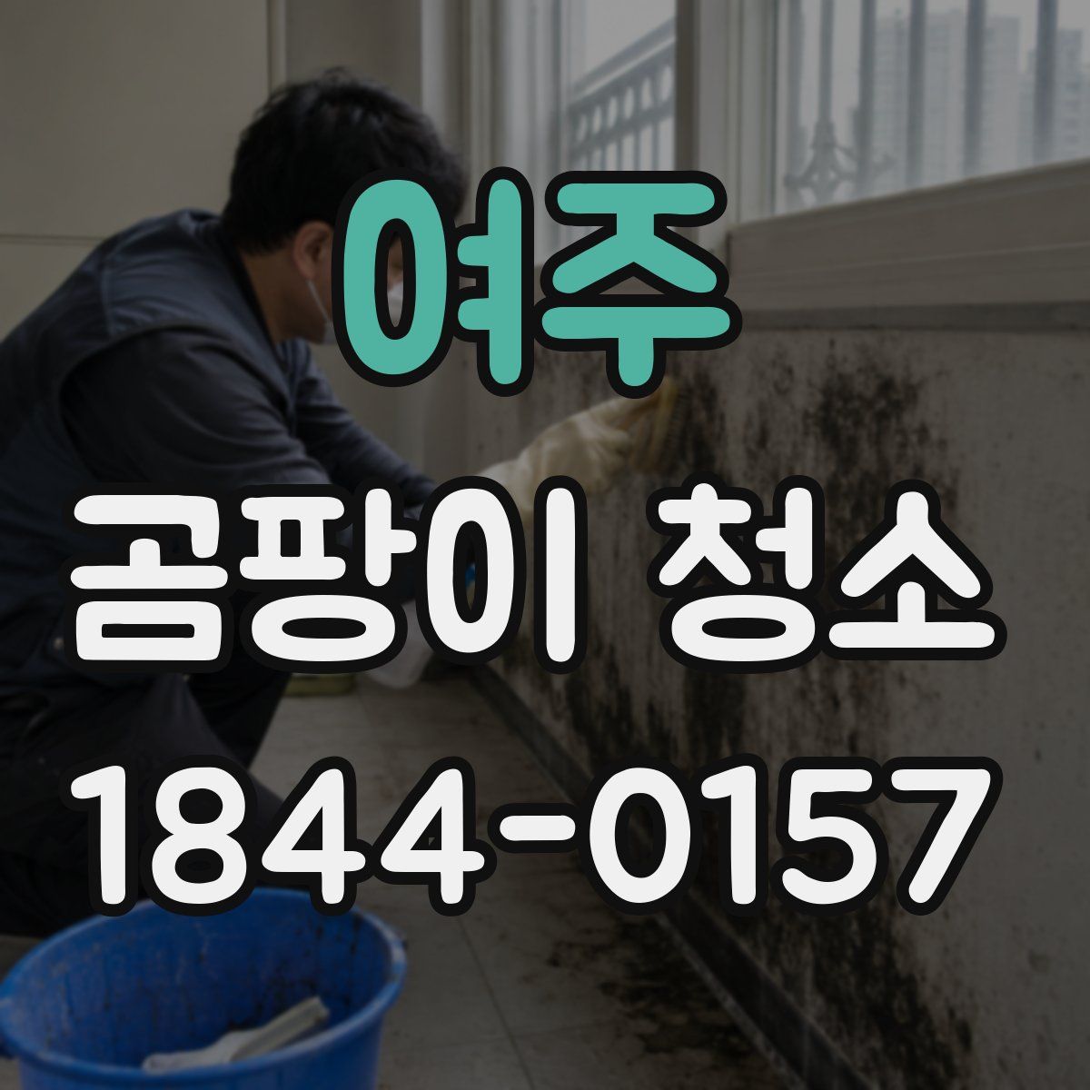 여주 곰팡이 청소