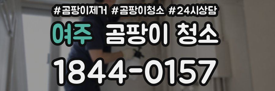여주 곰팡이 청소