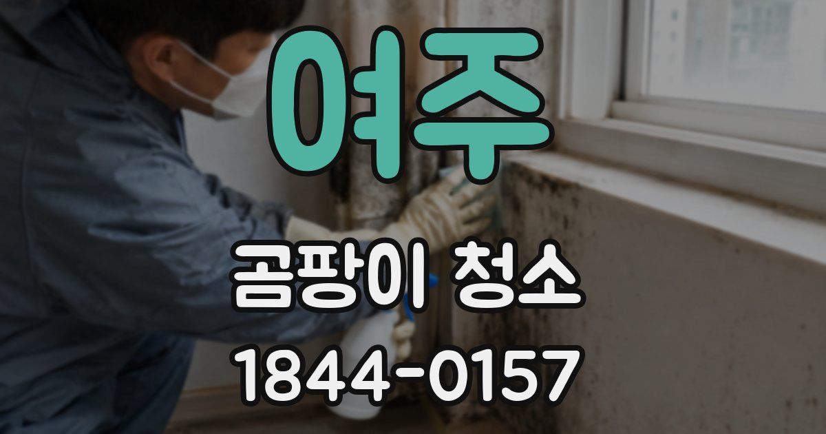 여주 곰팡이 청소
