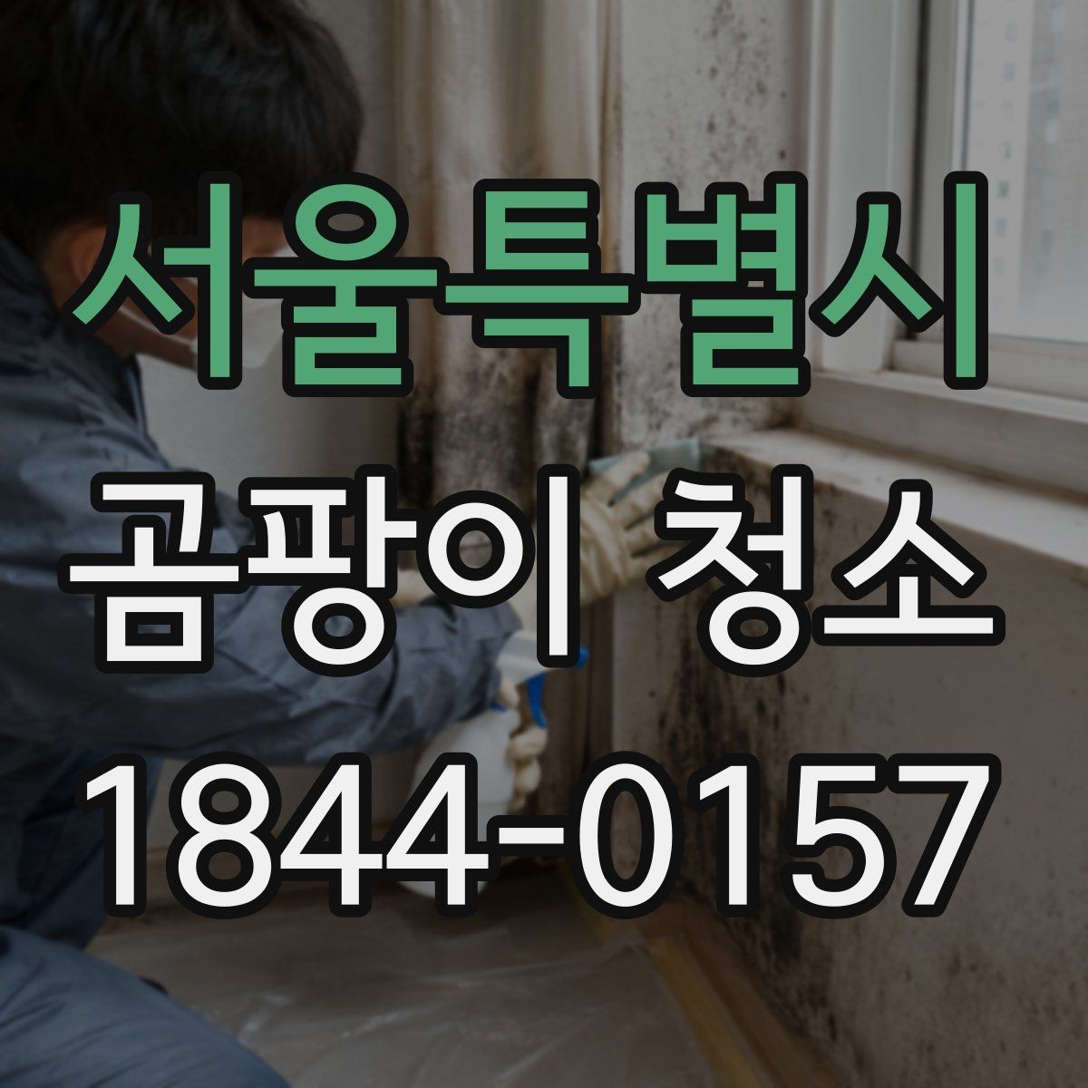 서울특별시 곰팡이 청소 베란다 창가 자국을 세척할 때 보는 포인트
