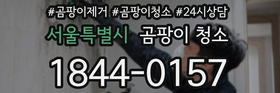 서울특별시 곰팡이 청소