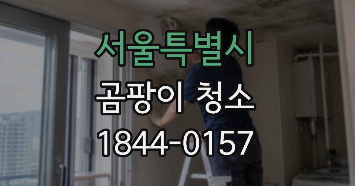 서울특별시 곰팡이 청소