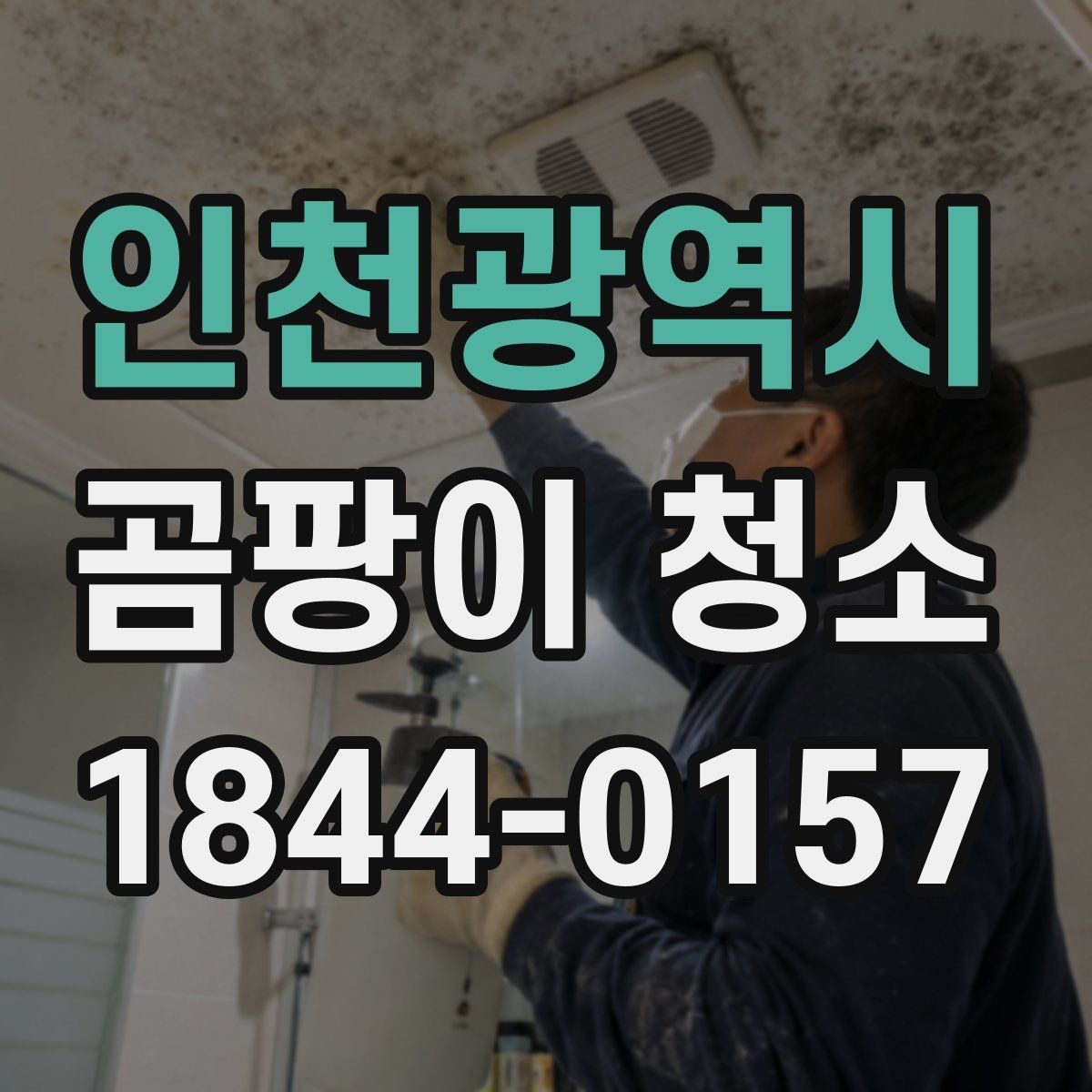 인천광역시 곰팡이 청소 단열 문제를 먼저 살펴야 하는 이유