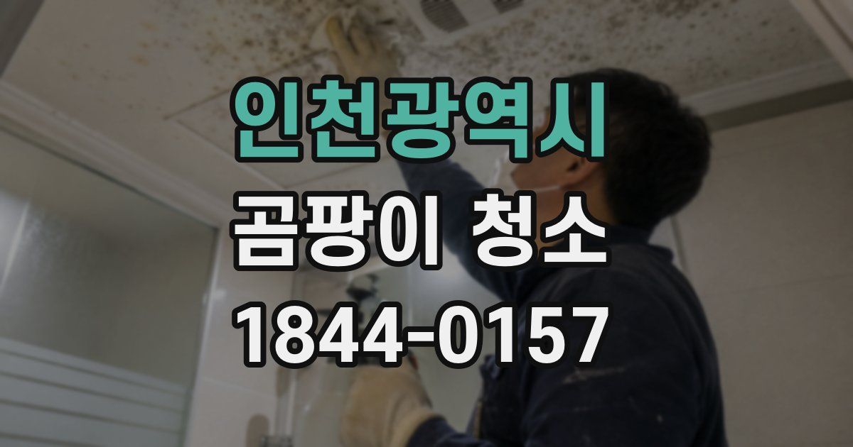인천광역시 곰팡이 청소